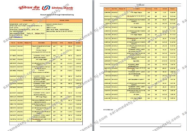 India Union Bank statement template, Word and PDF format, 2 pages